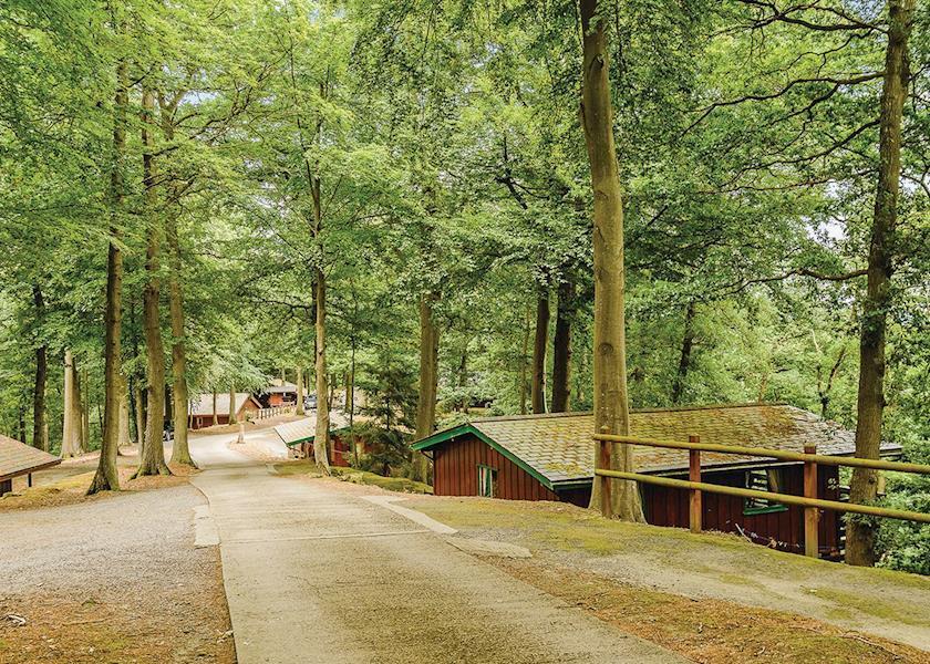 Penllwyn Lodges Montgomery Bagian luar foto